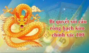 soi-cau-chinh-xac-100-rong-bach-kim