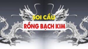 soi-cau-rong-bach-kim-vip